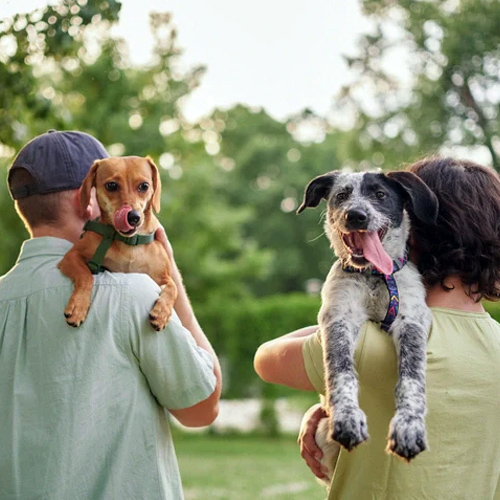 SONADI ANIMAL CARE CENTER